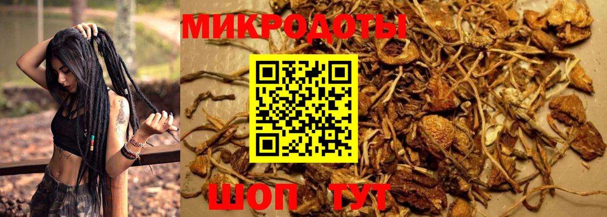 Псилоцибиновые грибы MAGIC MUSHROOMS Лабытнанги